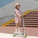 Детский электросамокат Segway Ninebot eKickScooter ZING C8 (AA.00.0011.61)