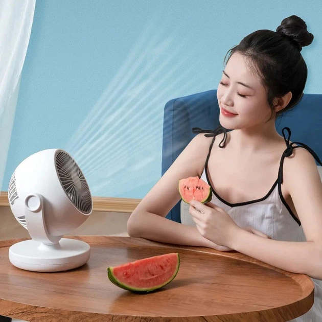 Вентилятор Xiaomi Xiaoda Desktop Circulation Fan 5W White Normal Version (XD-ZMXHS01)