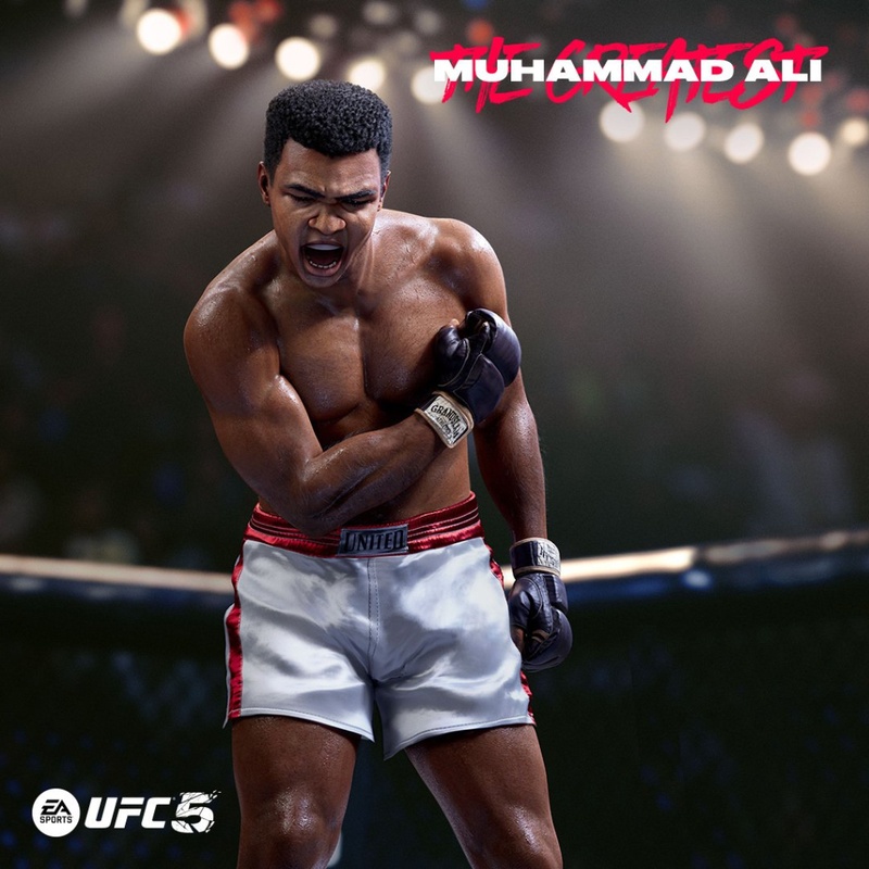 Игра PS5 EA Sports UFC 5 , BD диск (1163870)