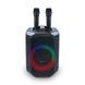 Портативная колонка с двумя микрофонами HAVIT HV-SQ143BT 40W RGB Black
