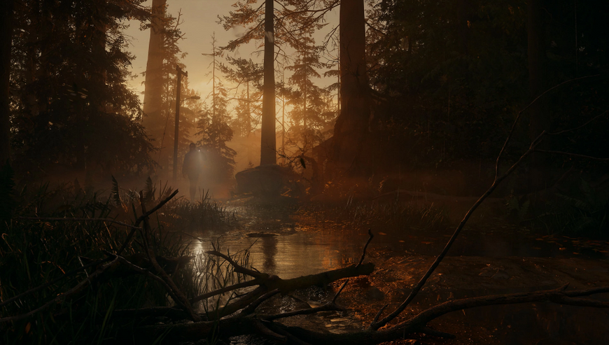 Игра PS5 Alan Wake 2 Deluxe Edition, BD диск (5056635609427)