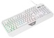Ігрова клавіатура 2E Gaming KG315 RGB USB White Ukr (2E-KG315UWT)