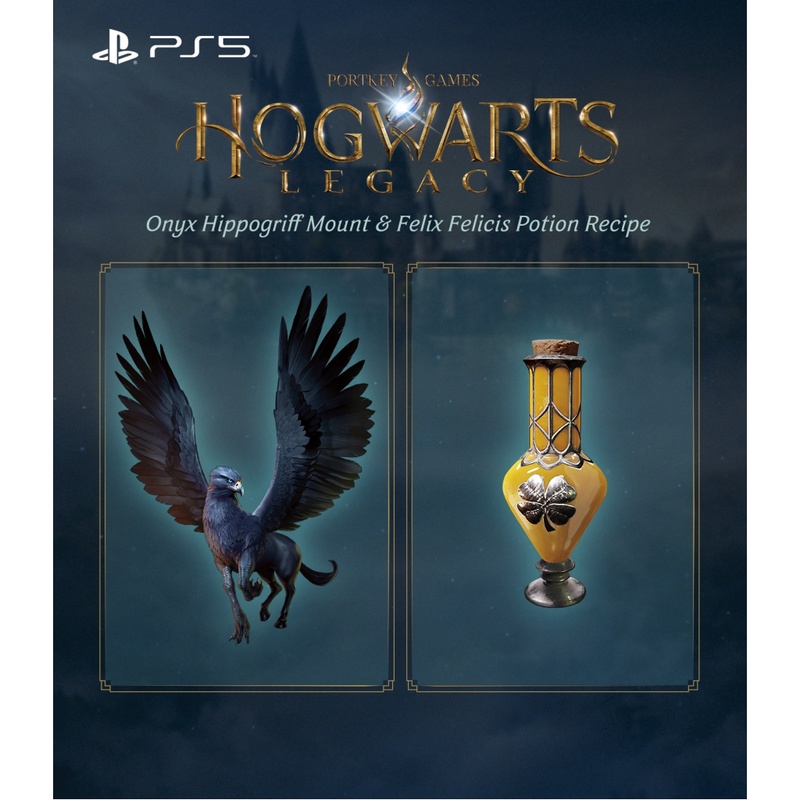Гра PS5 Hogwarts Legacy, BD диск (5051895413425)