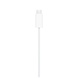 Зарядное устройство Apple Watch Magnetic Fast Charger to USB-C Cable (1 m) (MT0H3ZM/A)