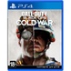Гра Call of Duty Black Ops Cold War (Blu-Ray диск) PS4 (88490UR)