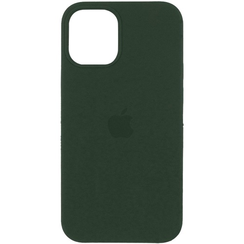 Чохол Apple iPhone 12 \12 Pro green