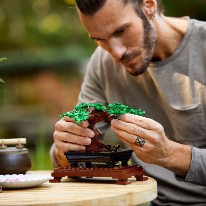 Конструктор LEGO Creator Expert Дерево бонсай 878 деталей (10281)