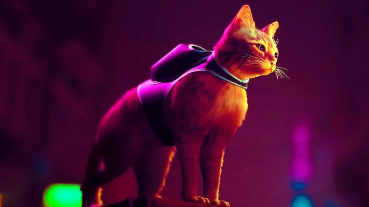 Игра PS5 Stray Русские Субтитры (Б.У.)