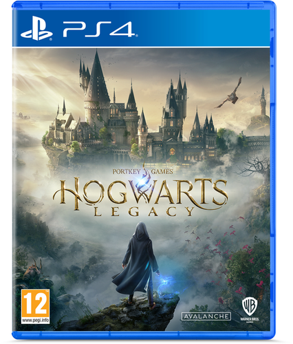 Игра PS4 Hogwarts Legacy Русские Субтитры (Б.У.)