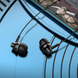 Наушники BOROFONE BM74 Singer universal earphones with microphone Black (BM74B)