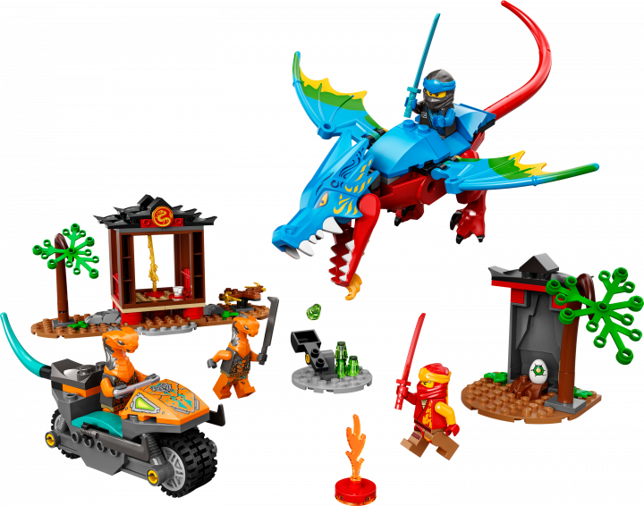 Конструктор LEGO Ninjago Драконий храм ниндзя 161 деталь (71759)