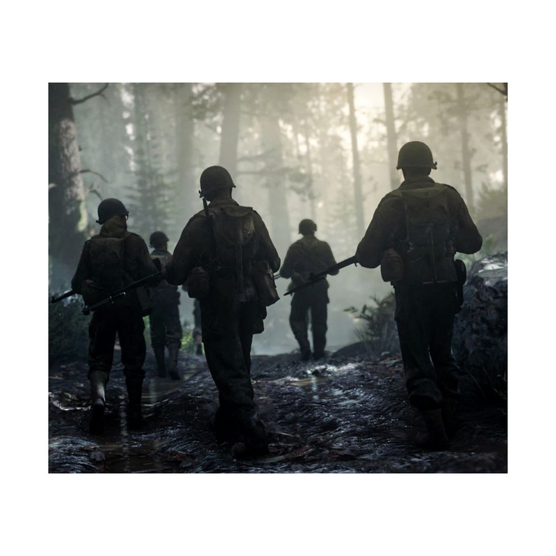 Гра PS4 Call of Duty WWII, BD диск (1101406)